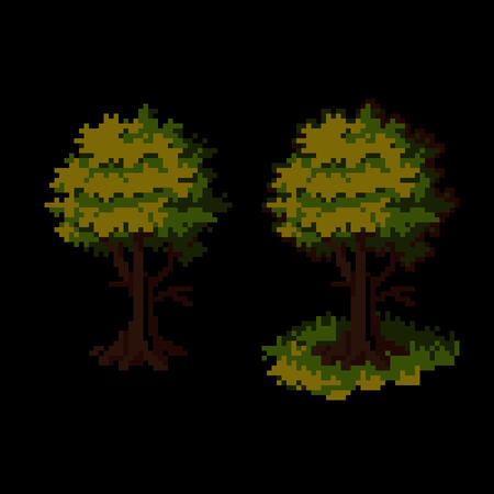 Older Tree Study